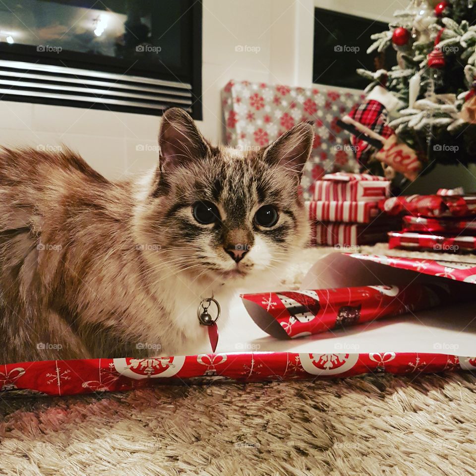 Let me help you wrap
