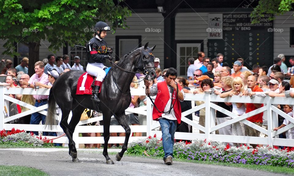 Rider's Up. Midnight Max with female jockey Maylan Studart in the Saratoga paddock going to the post. 
Zazzle.com/Fleetphoto 