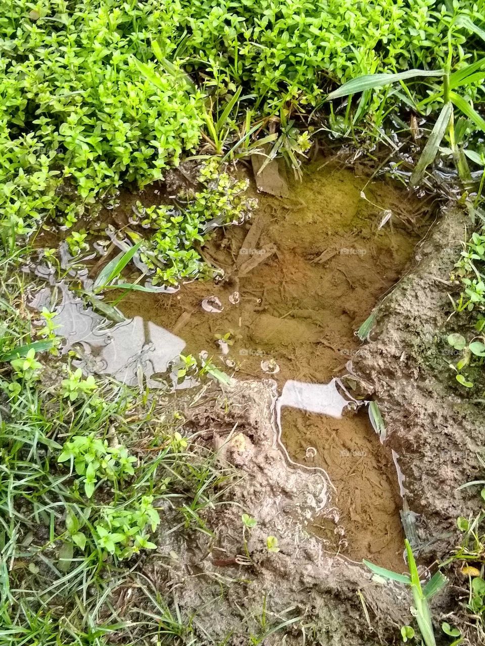 A small puddle of rain water💦 on the ground. Looks like a miniature lake🚣🏾‍♀️.