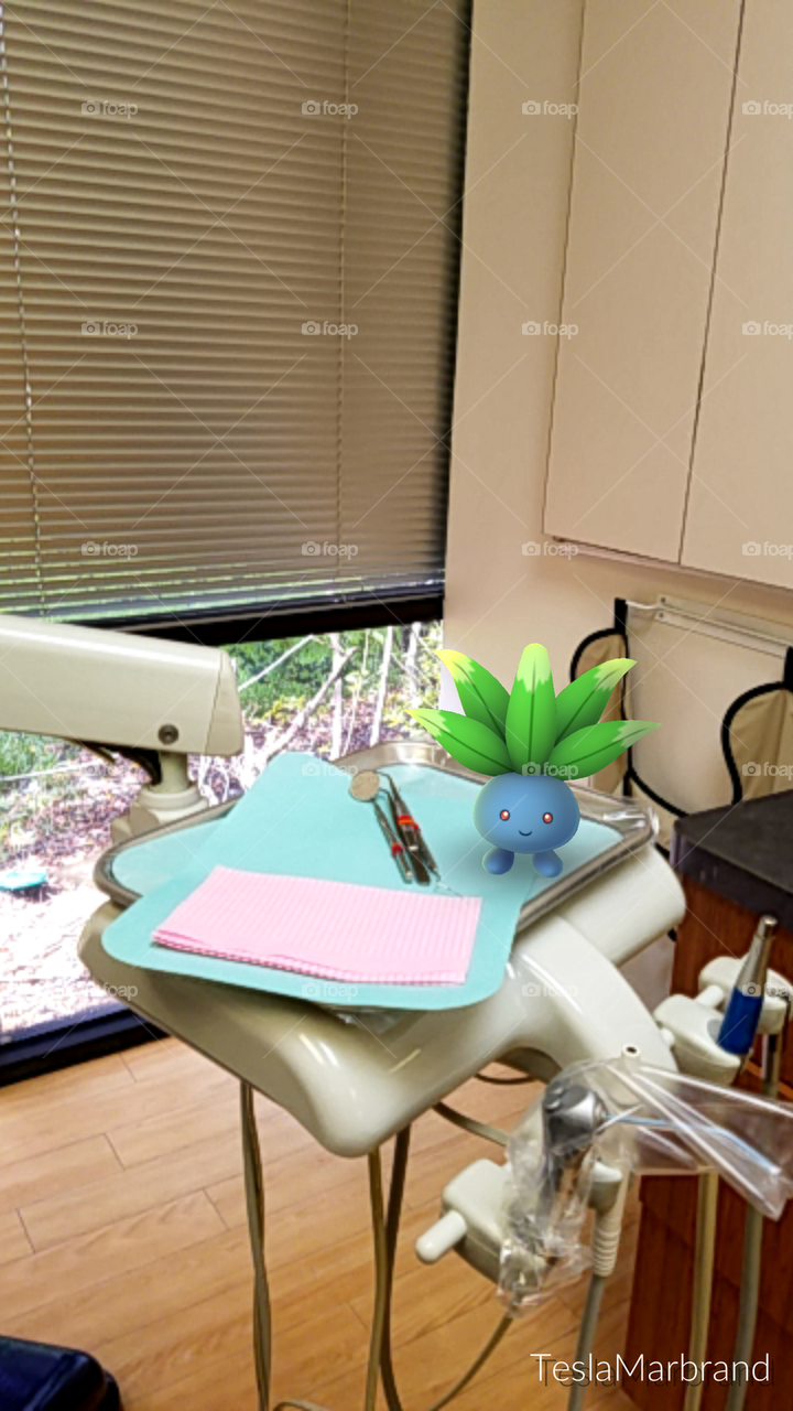Oddish Pokémon at the dentist