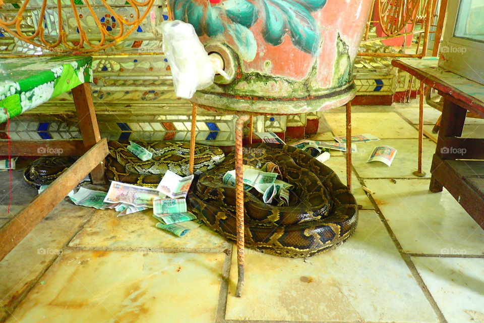 Snake temple Myanmar