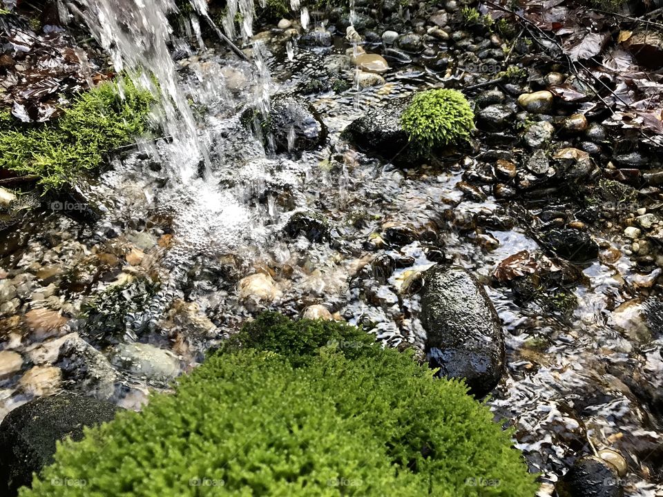 Mürgelibrunnen small waterfall 