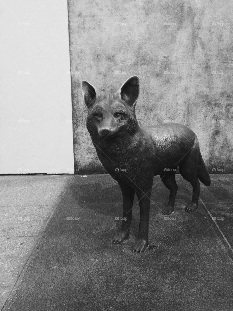 COYOTE STATUE