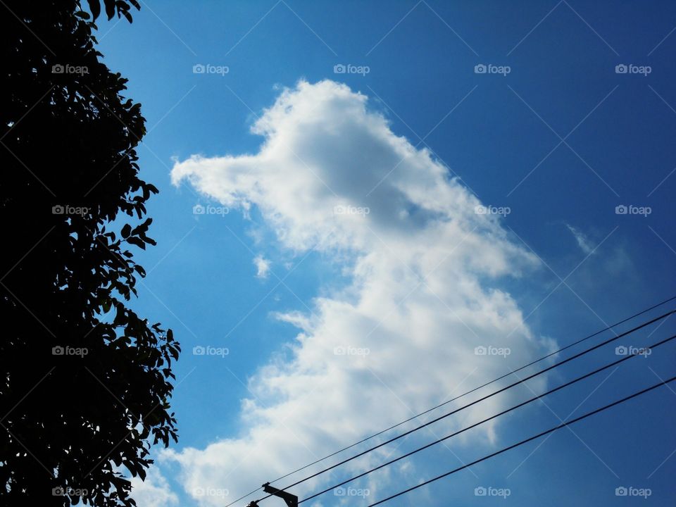 Cloud in Bangkok