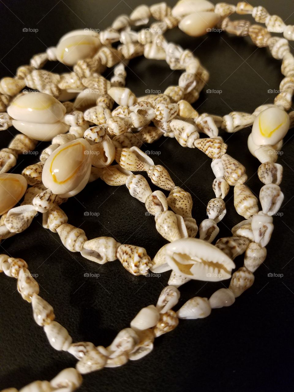 Hawaiian Sea Shell Jewelry