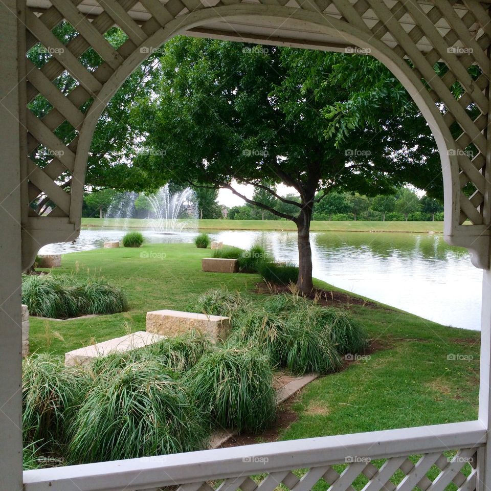 Looking out from gazebo 