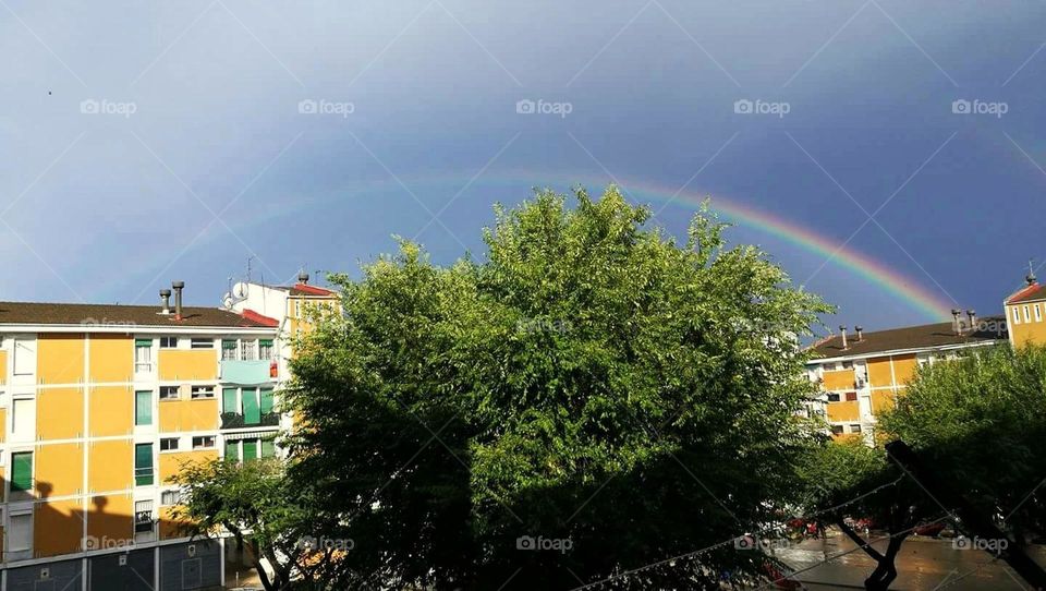 arco iris