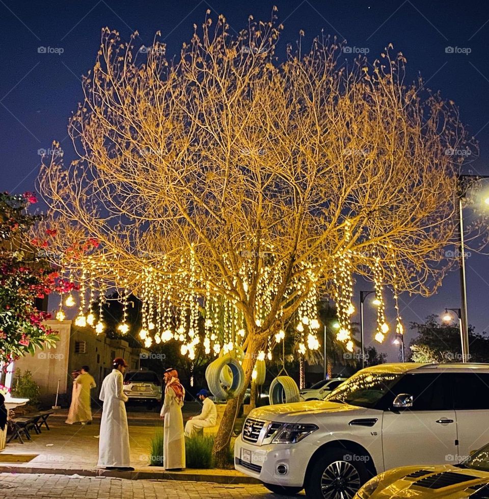 Tree decorated with Outdoor Solar LED Meteor Shower Rain Lights Holiday String Lights 
