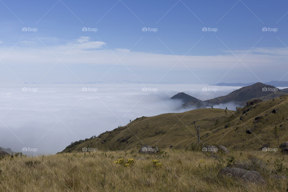 Nature landscape - Campos do Quiriri.