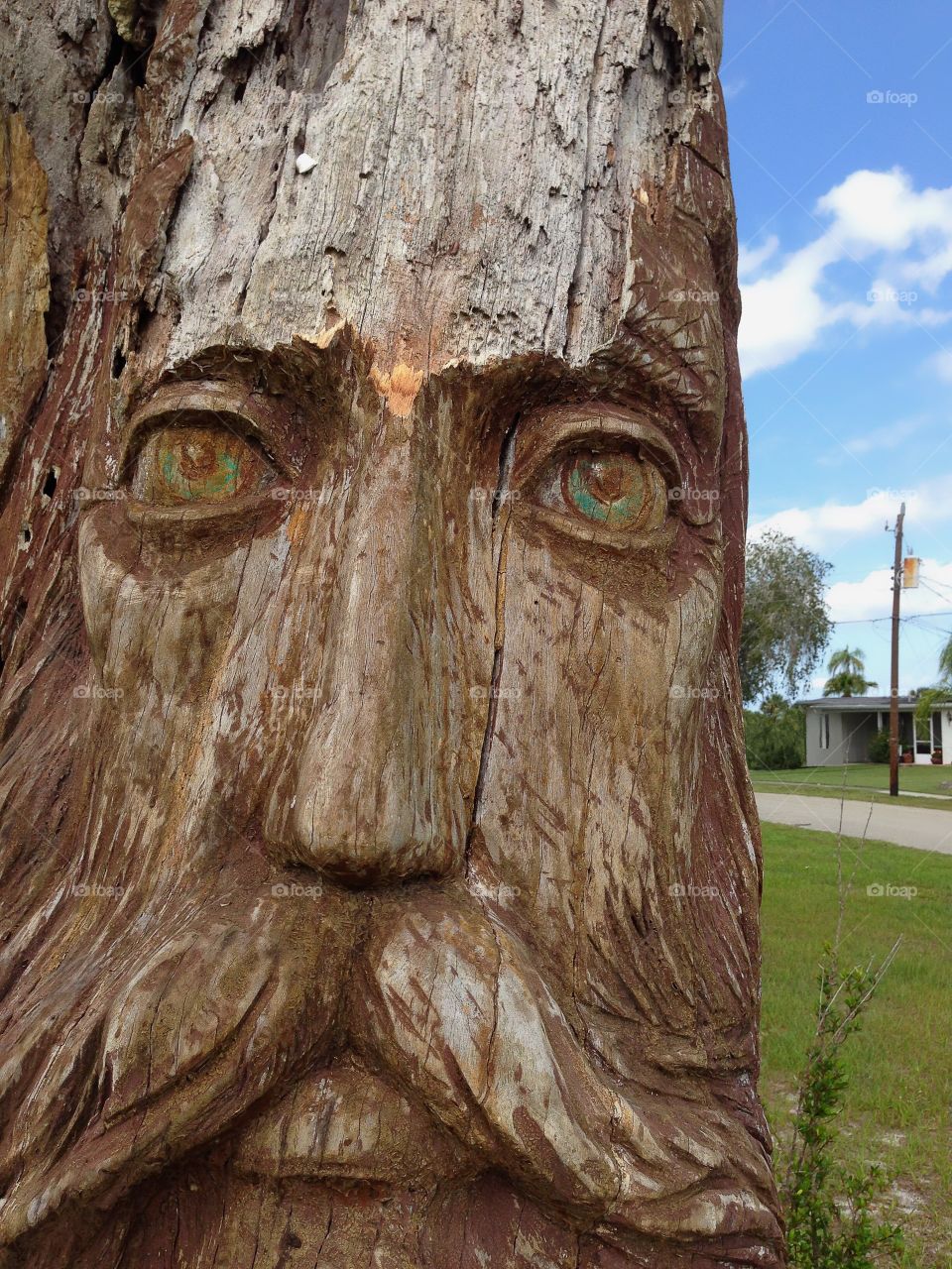 Ancient tree carving 