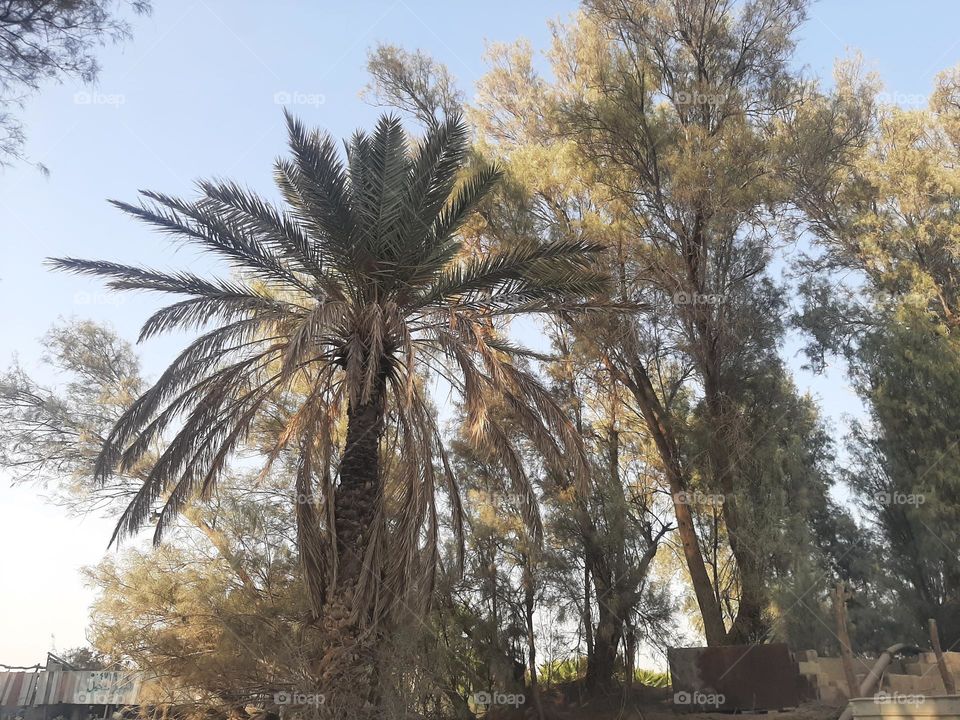 Please make me happy, I am poor, I need your help with support