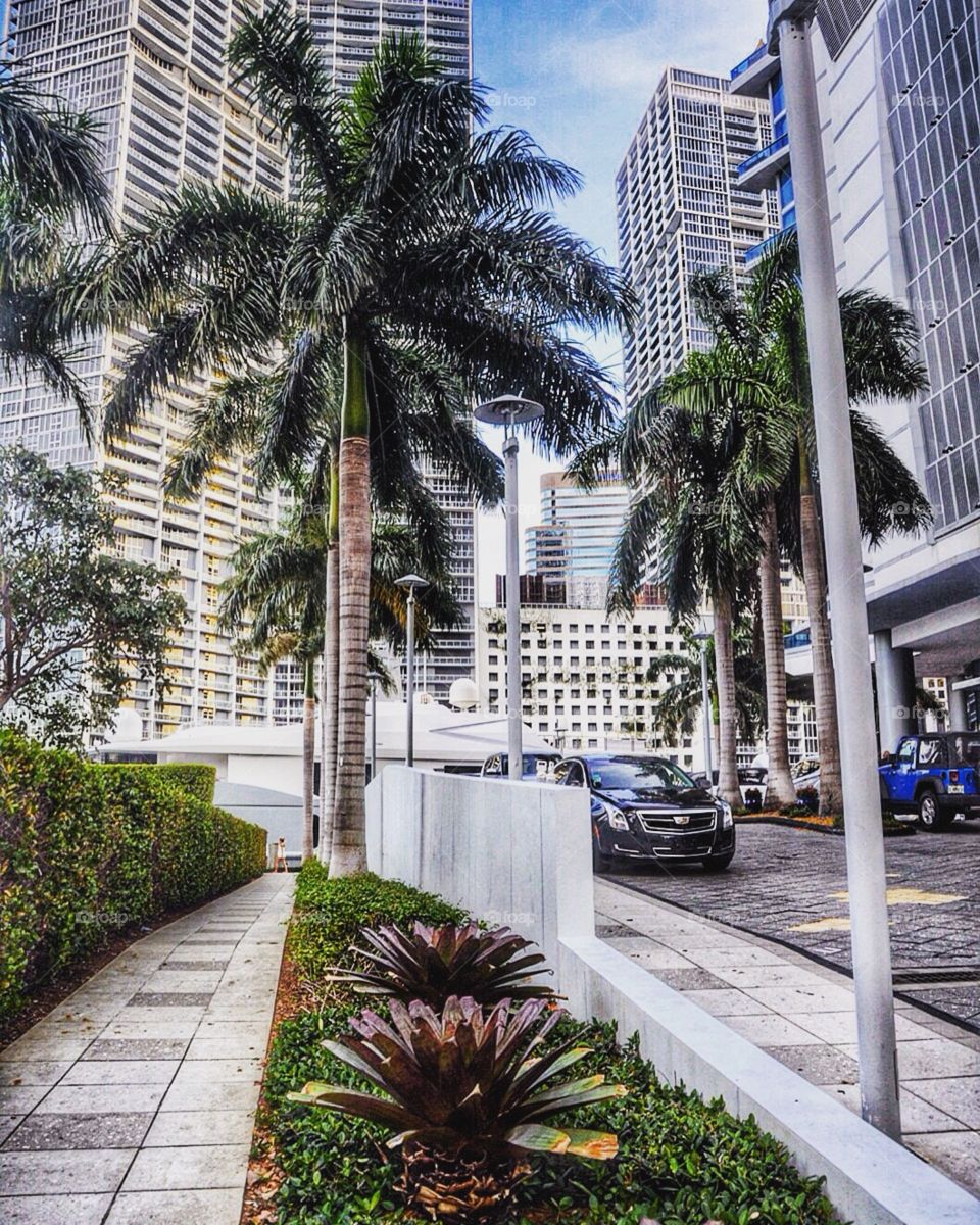 The luxurious views of Miami