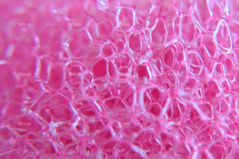 pink kitchen sponge