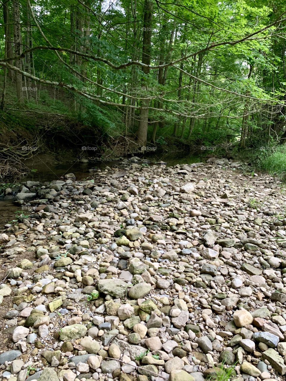 A massive pile of stones from the creek bottom