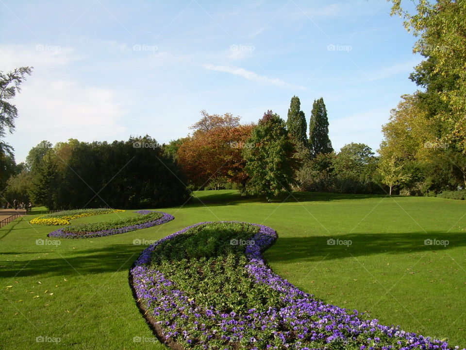 Beautiful view in Hyde Park