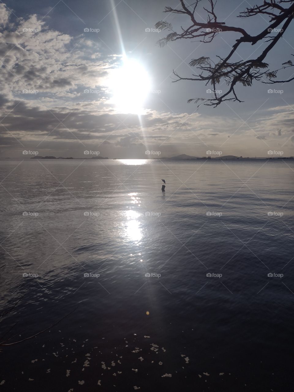 Manhã de sol na Baía de Guanabara