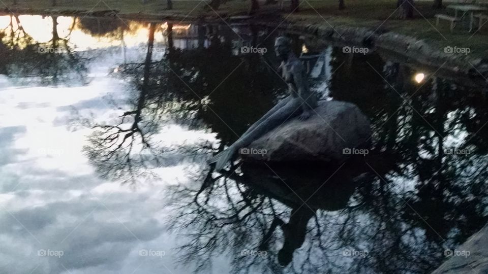 No Person, Tree, Water, Winter, Snow