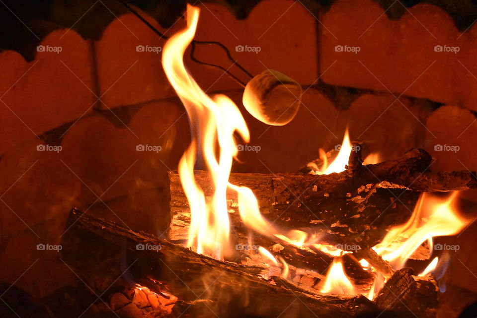 Roasting Marshmallows over a Bonfire