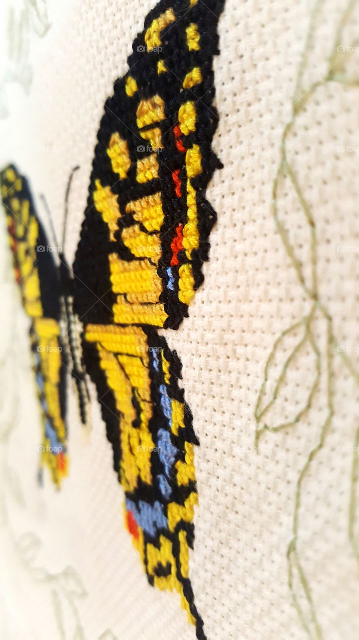 Side angled close-up of a mostly yellow Cross-stitch butterfly.