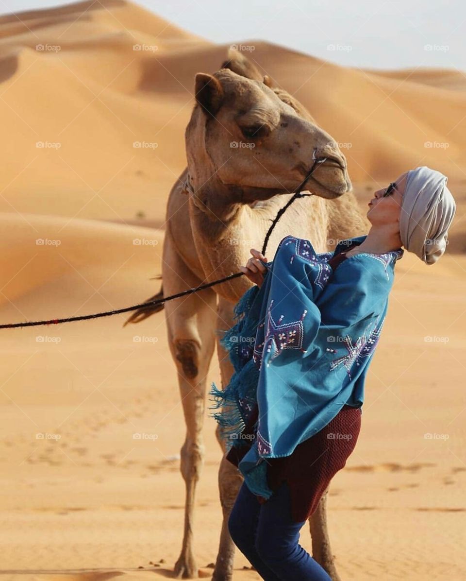 camel algeria