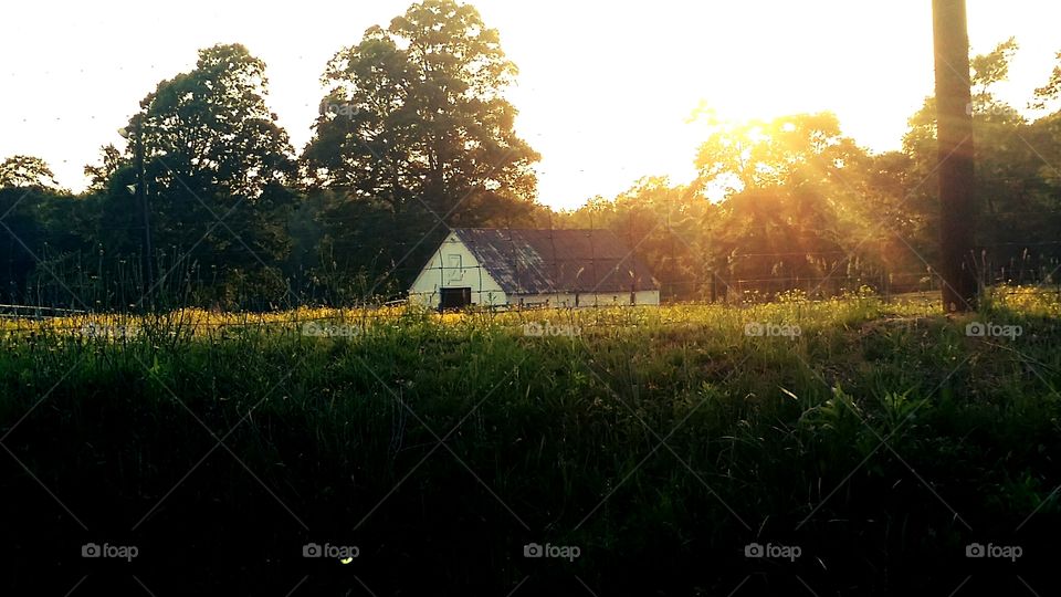 Rural NC. Wake County 