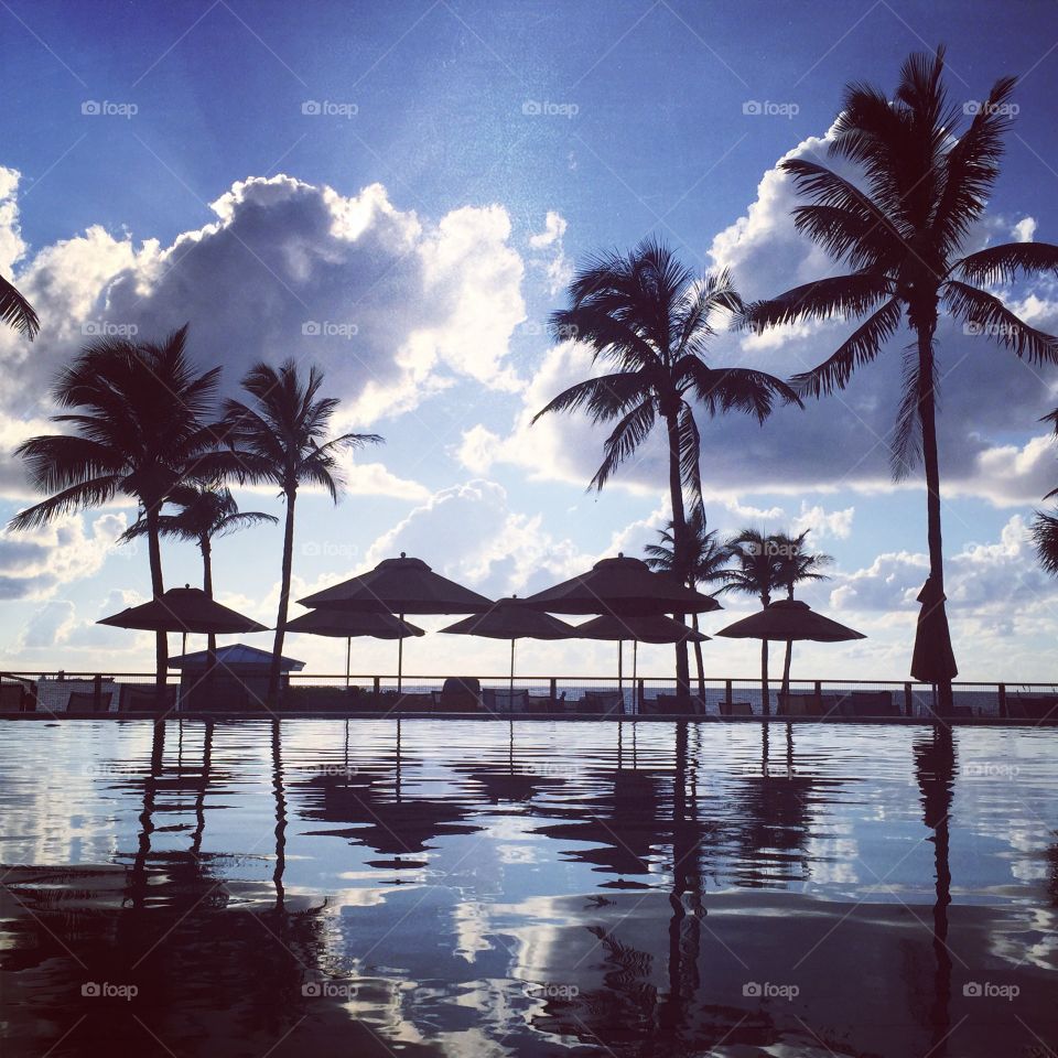 Paradise in Reflection 