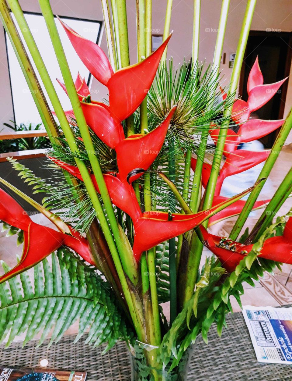 Formas en flores rojas
