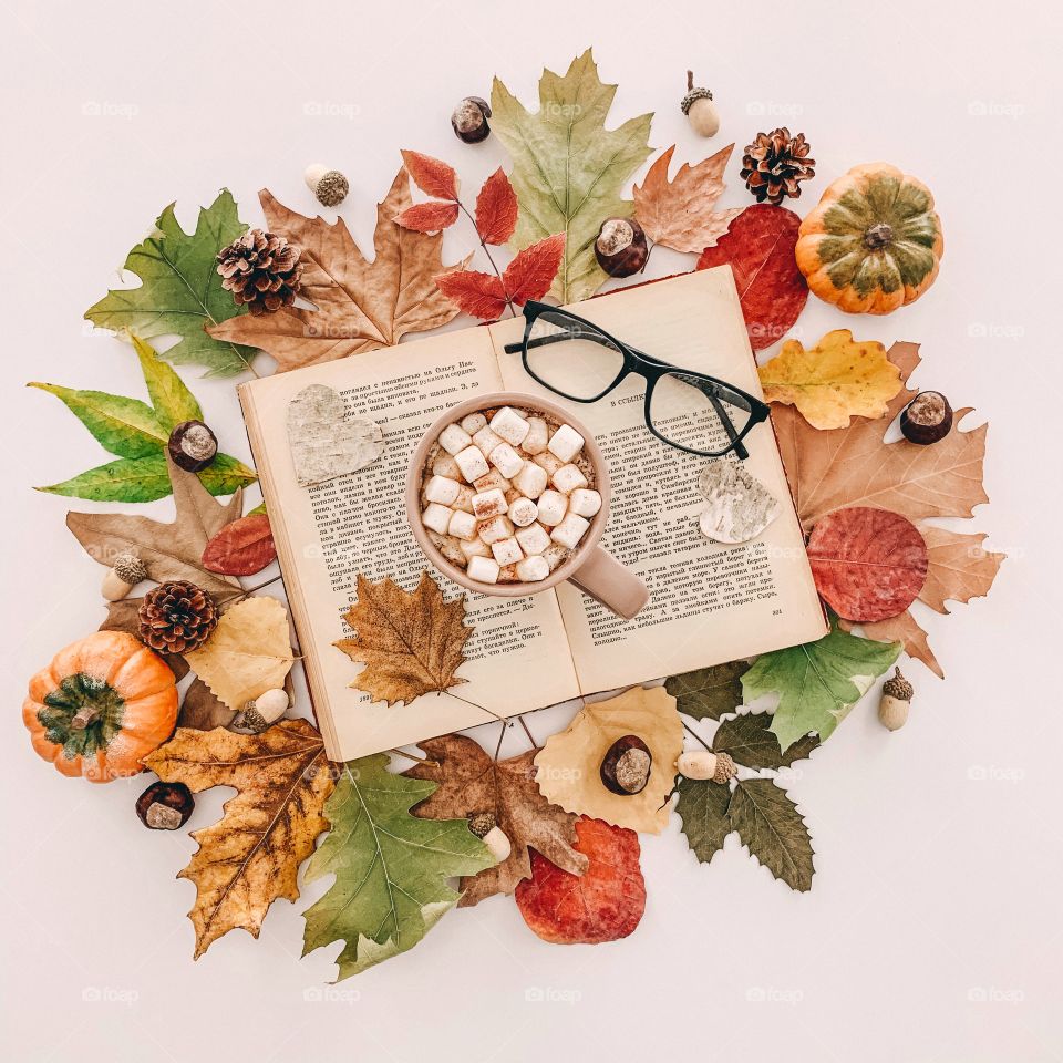 Autumn flat lay photography