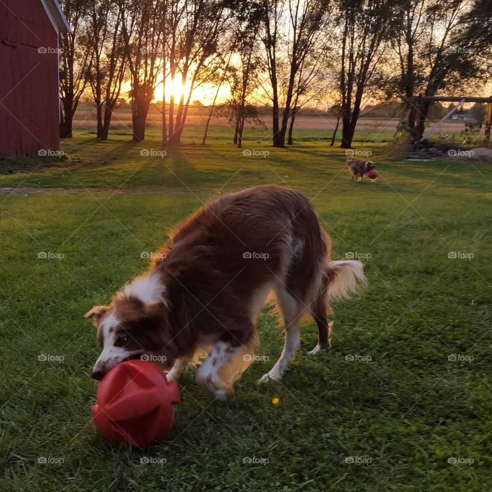 sunset playtime