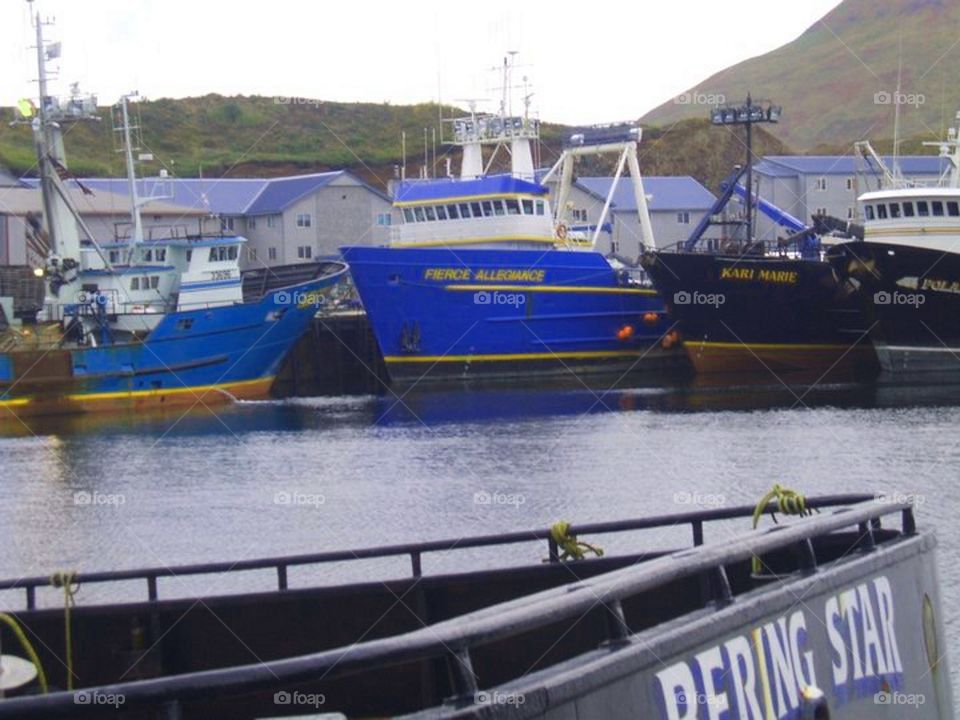 Longline at Dock