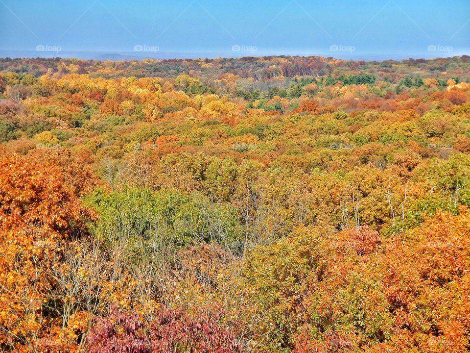 Indiana fall view