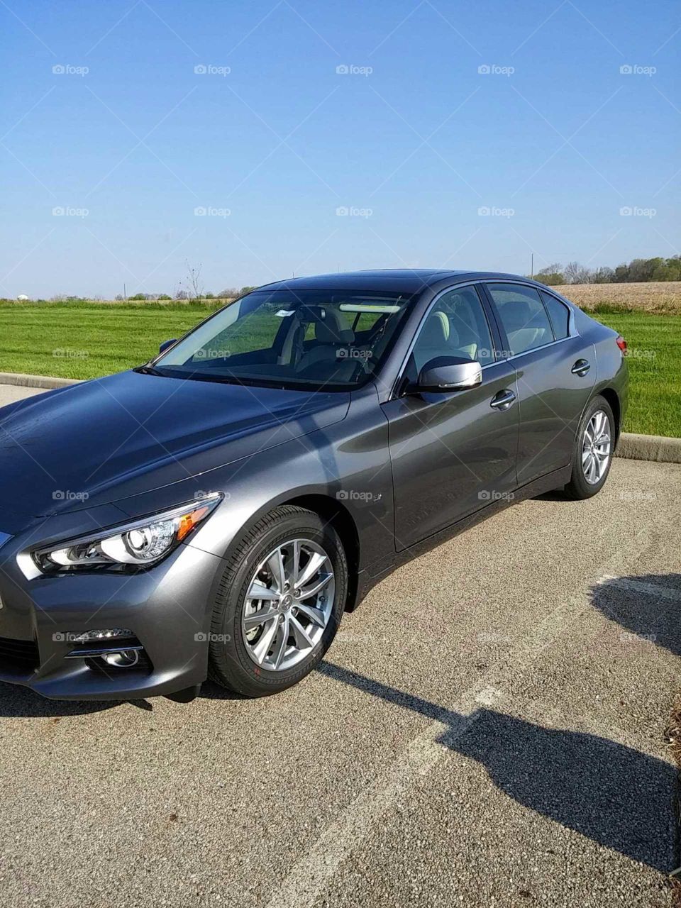 Infinity Q50