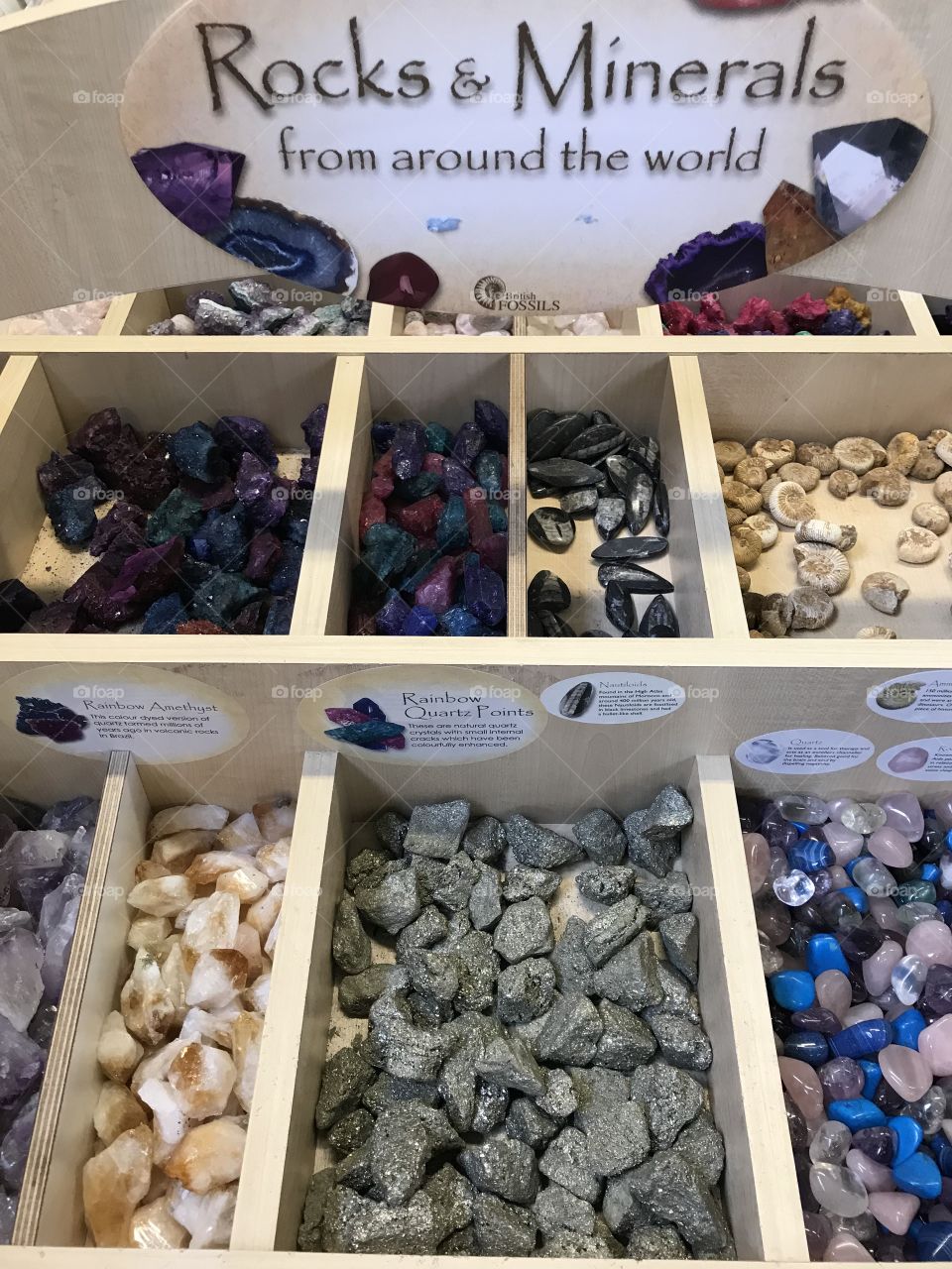 Copper Mining existed here at Morwellham Quay, well into the 19th century, here are some examples of rocks and minerals that might have been found.