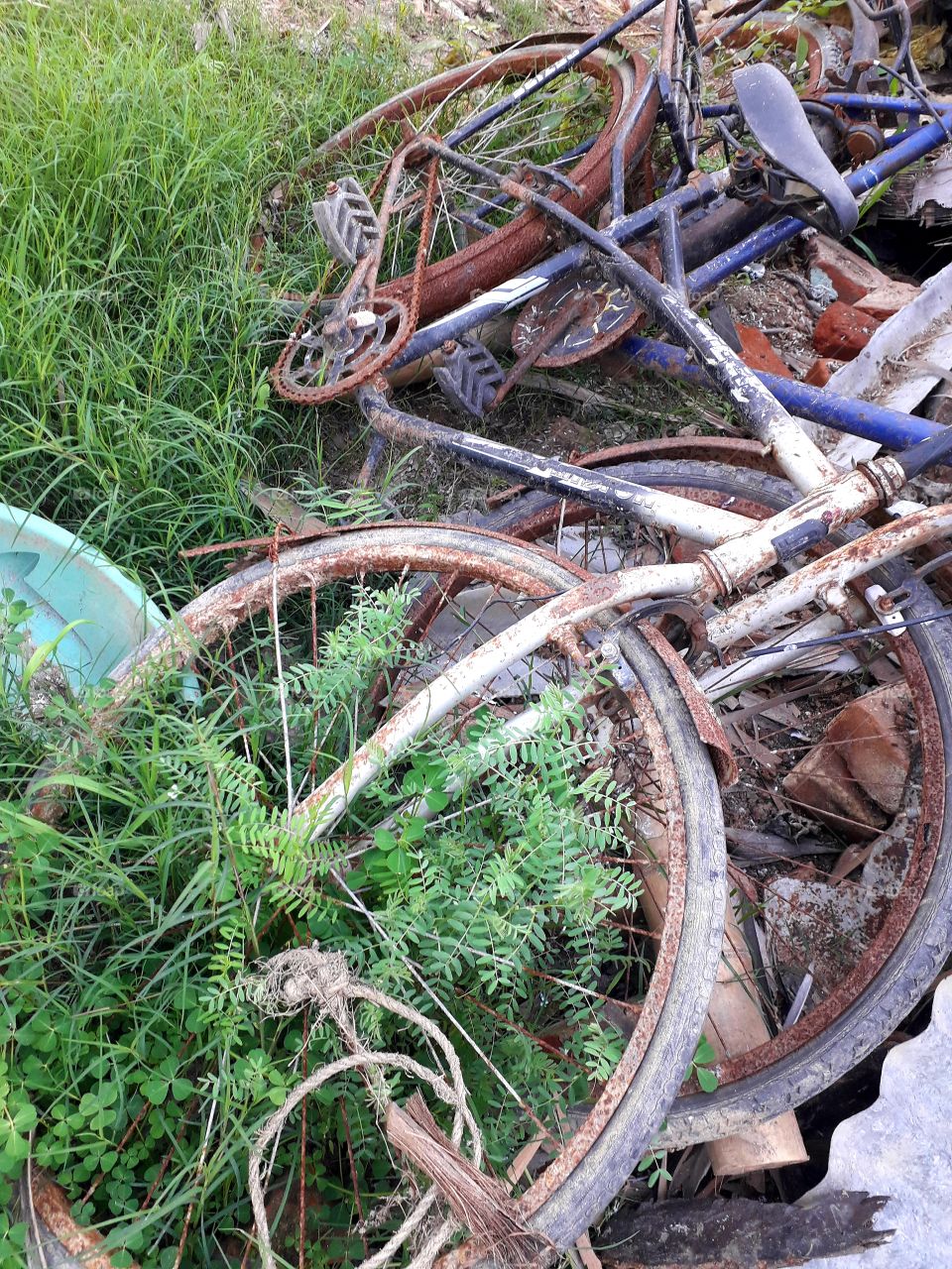 rusted bicycle