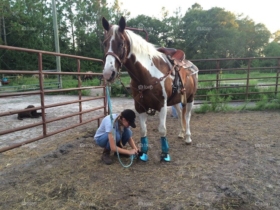 Getting Trinity ready to ride.