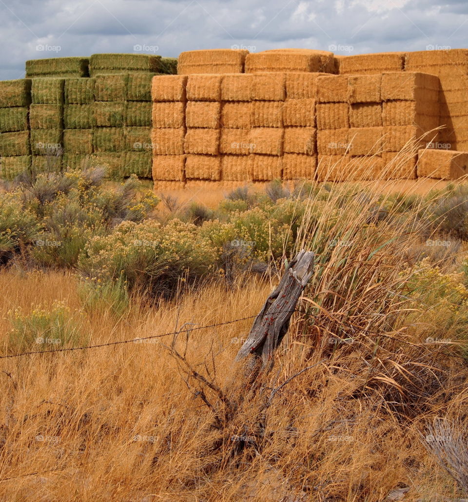 Hay stacks on field