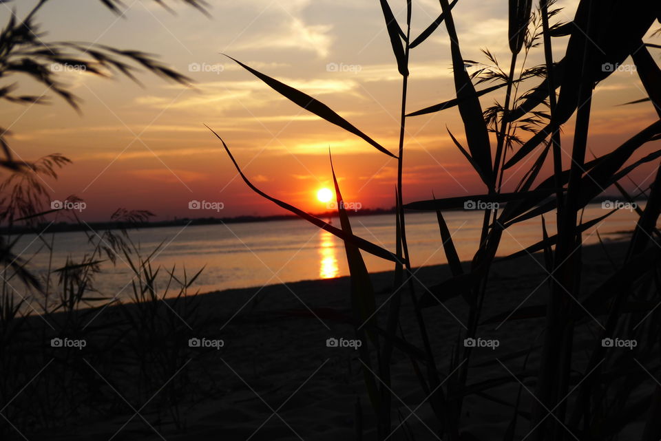Sunset Elbe Schleswig-Holstein 