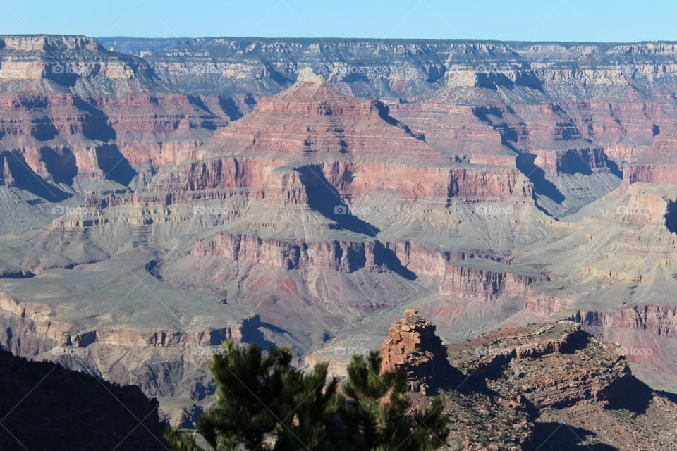Grand Canyon View
