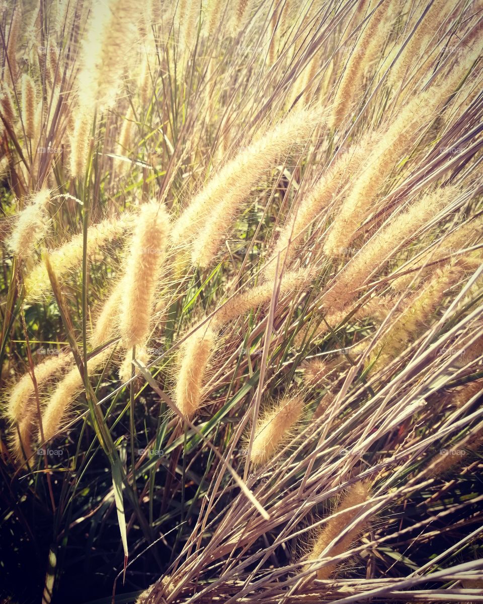 RandomShot along the way 😊📸