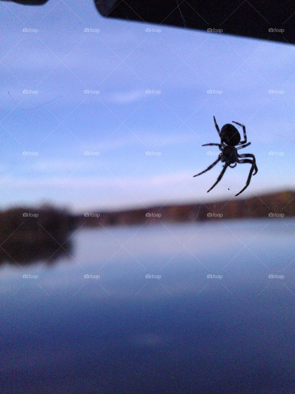 Mr spider at the swing bridge park MN