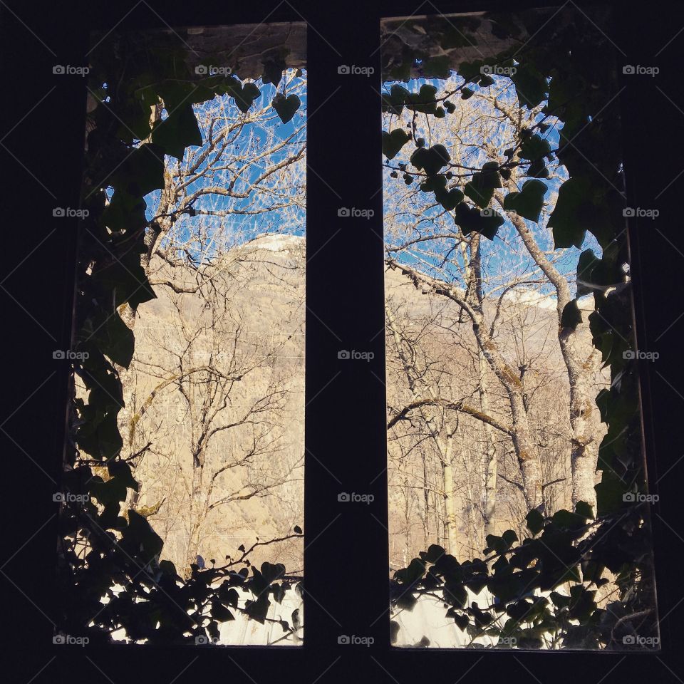 All a matter of perspective 