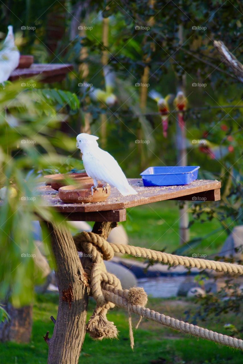 Bird park in urban city 