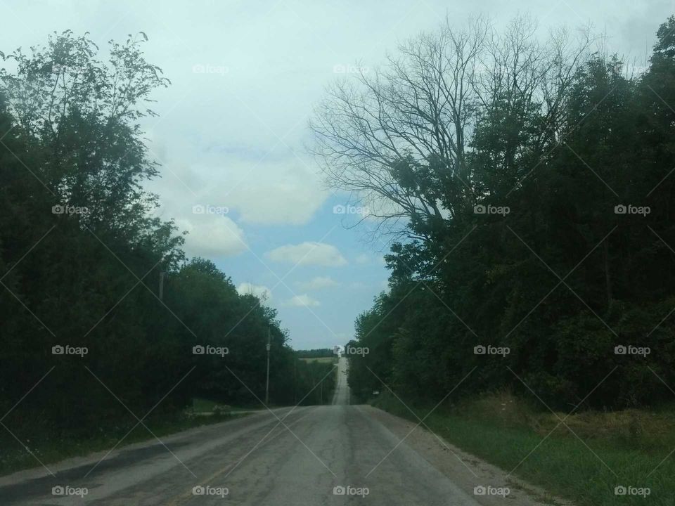 Road, Tree, Landscape, Guidance, No Person