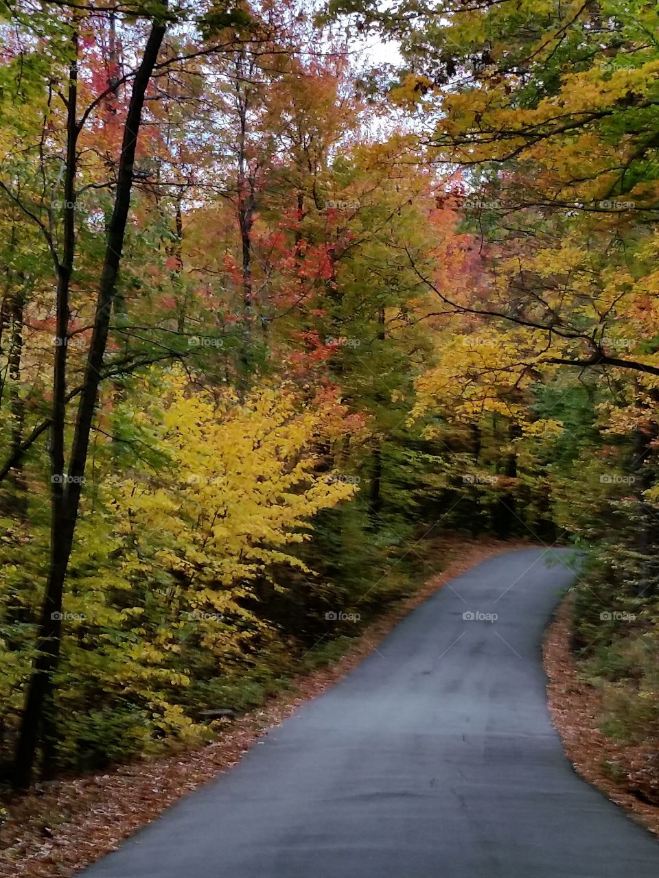 Autumn Roads
