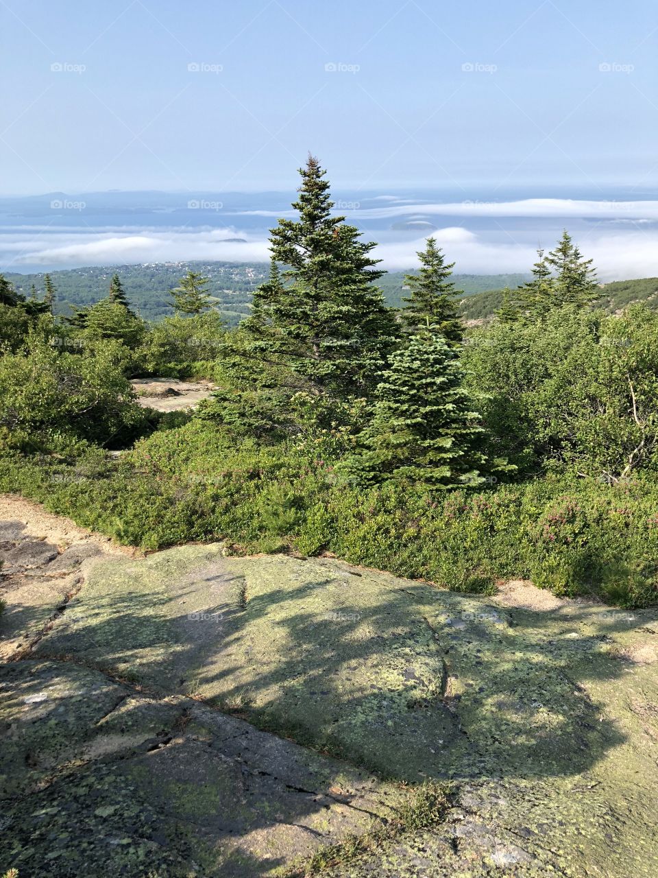 View of sky, valley, hills and trees from the top of Cadillac Mountain in Acadia National Park in Bar Harbor, Maine USA