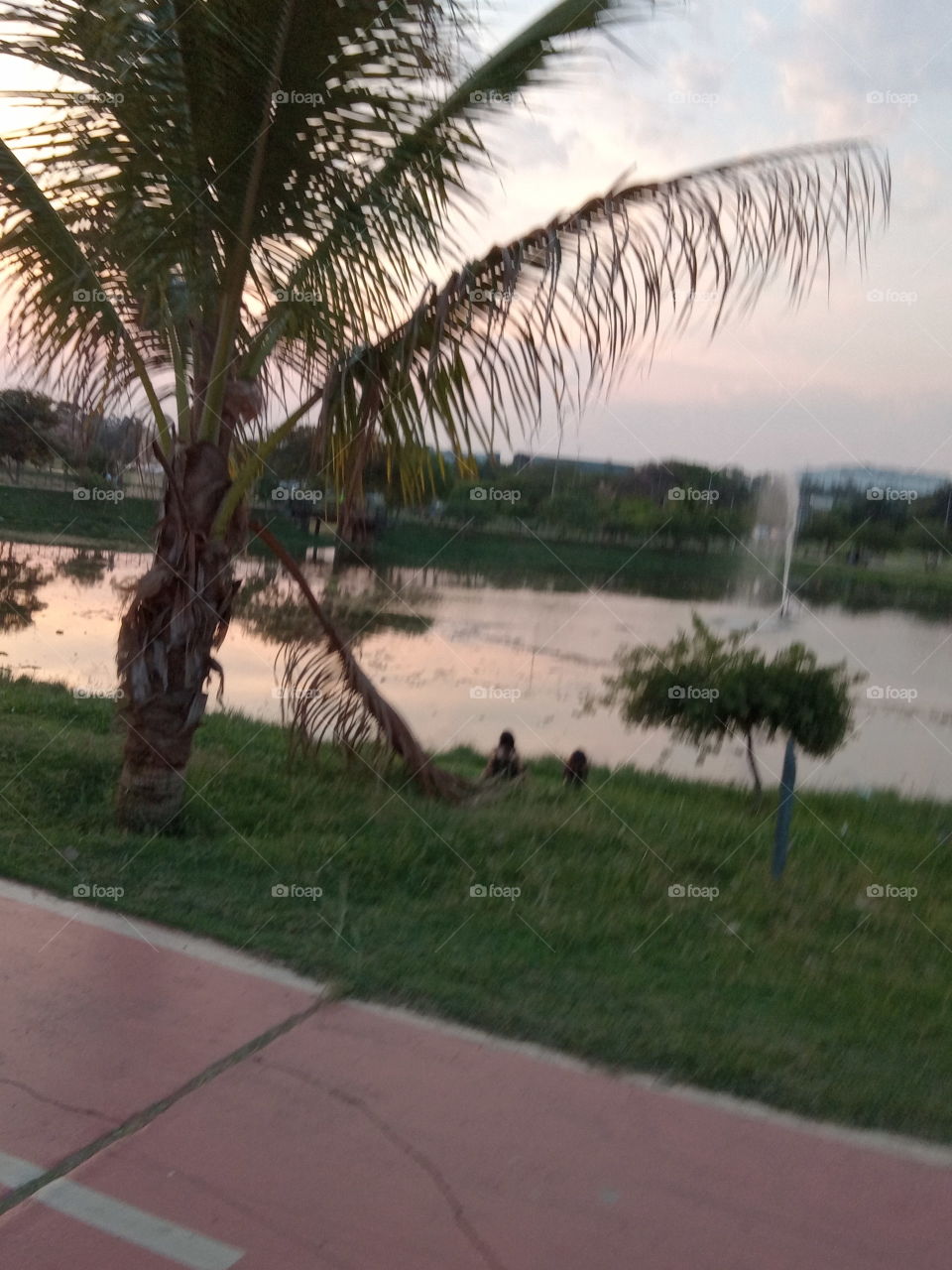 O Encanto da natureza