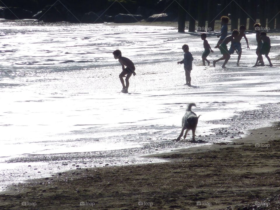Beach. Isle of Wight