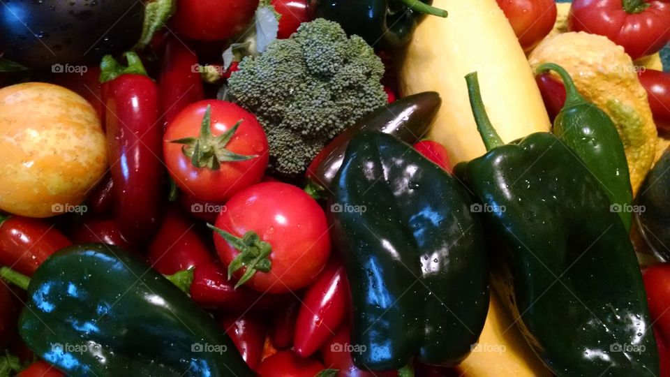 Garden bounty. Vegetables from my garden in Portland, Oregon.