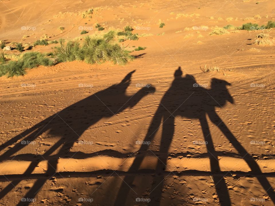Desert, Sand, Travel, Landscape, Sunset