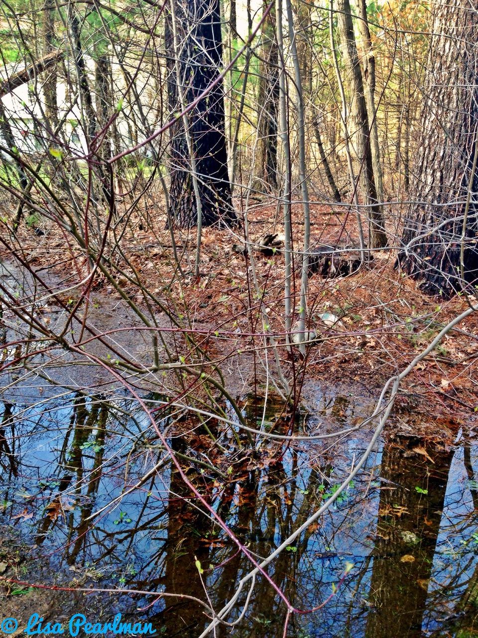 Reflections: As Above, So Below 